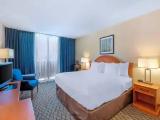1 Room Suite