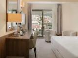 Standard Double room with balcony and with mountain view
