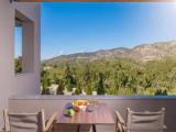 Suite with balcony and with mountain view