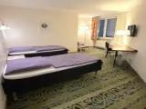 Standard Single Suite