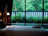 Standard Double room with garden view