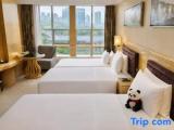 Standard room with city view