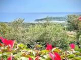 Studio with sea view