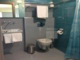 1 Bedroom Basement Apartment