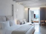 Deluxe with plunge pool Suite