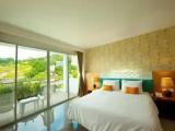 Deluxe Double room with balcony and with garden view