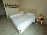 Superior Double room with mountain view