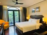 Suite with city view