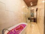 1 Bedroom Villa