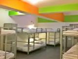 Bed in Dorm