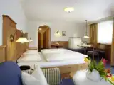 Deluxe Single room with balcony and with mountain view