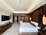 Premier Double room with city view