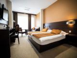 Superior Double room with balcony and with mountain view