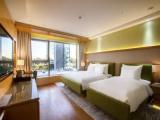 Standard Double Family room