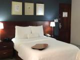 Executive Single room