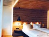 Deluxe Double Suite with mountain view