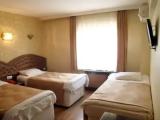 Economy Triple room