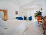 Deluxe Double room with garden view