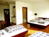 1 Bedroom Deluxe Apartment