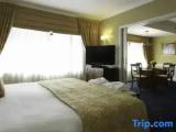Single Junior Suite
