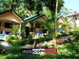 Standard Bungalow