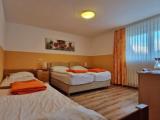 Standard room with mountain view