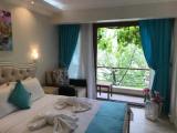 Standard Double room with balcony and with sea view