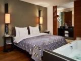 Deluxe Suite with city view