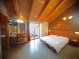 Superior room with lake view