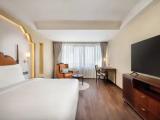 Deluxe Double room with mountain view
