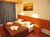 Standard Double room with balcony and with garden view