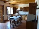 1 Bedroom Basement Apartment
