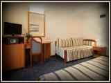 Standard Double room with balcony and with mountain view