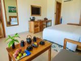 Deluxe room with garden view