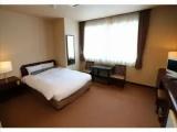 Business Double room with mountain view