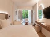 Superior Studio with balcony and with city view