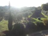 1 Bedroom Apartment with garden view