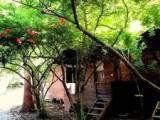 Economy Double room with garden view