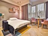 1 Bedroom Sofa Bed Double Suite