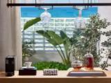 Deluxe Double Suite with sea view