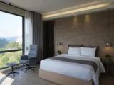 Premier Double room with balcony