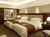 Superior Twin room with lake view