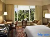 Royal Double Club room