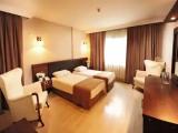Standard Triple room with balcony