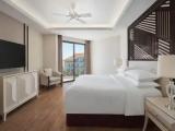 Deluxe Double room with balcony and with garden view