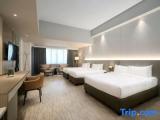 Premier Quadruple room