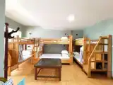 Bed in Dorm