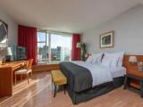 Double Junior Suite with garden view