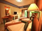 Deluxe Double room with river view