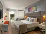 Standard Triple room with pool view